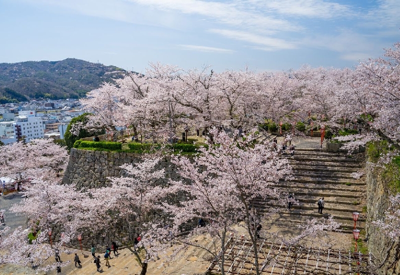 津山城（鶴山公園）