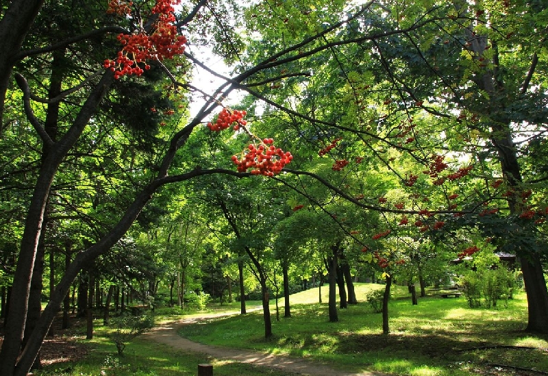 中島公園