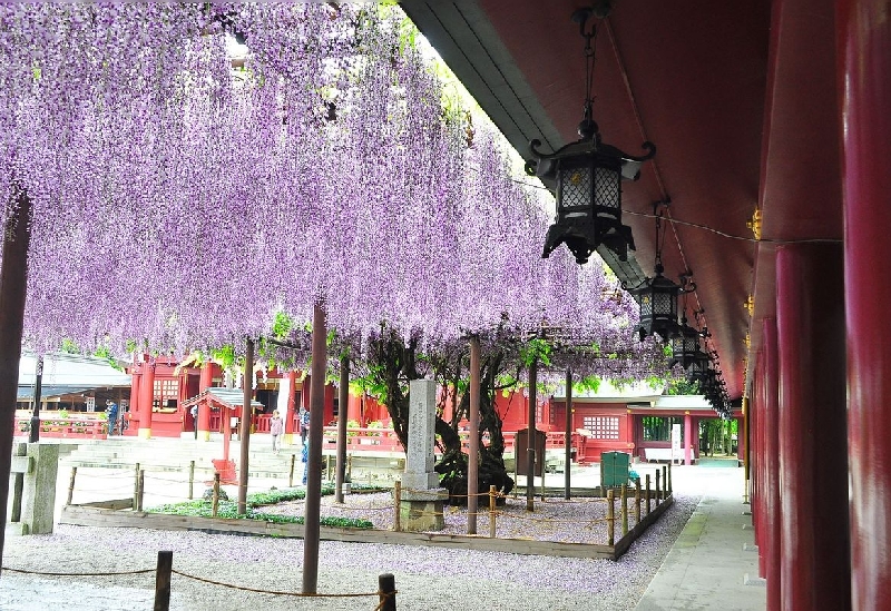 笠間稲荷神社