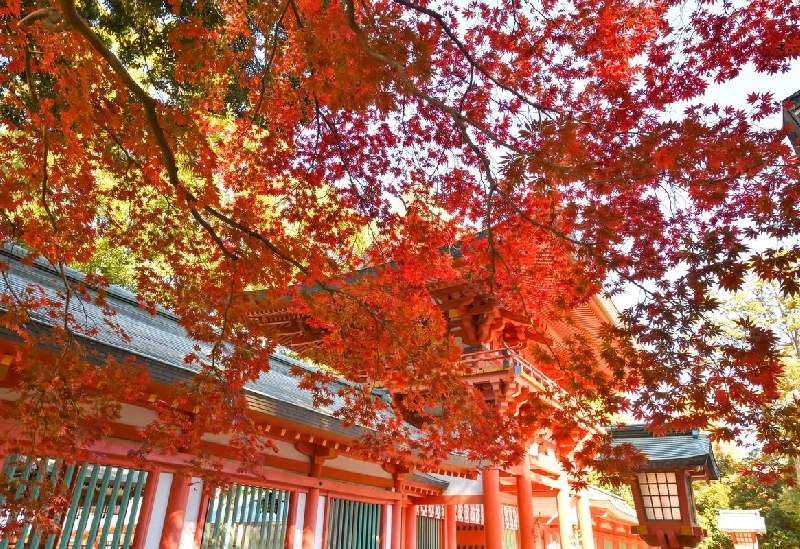 武蔵一宮氷川神社（大宮氷川神社）