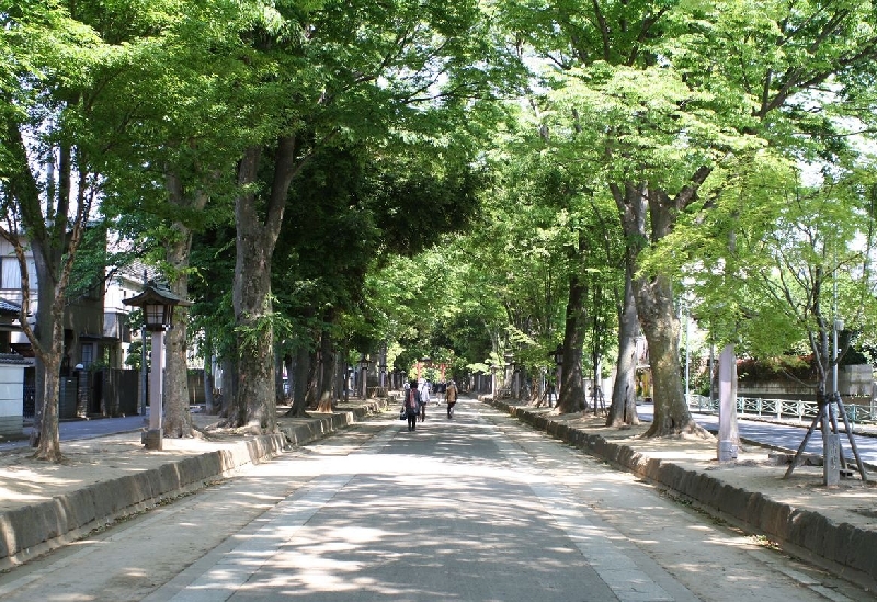 武蔵一宮氷川神社（大宮氷川神社）