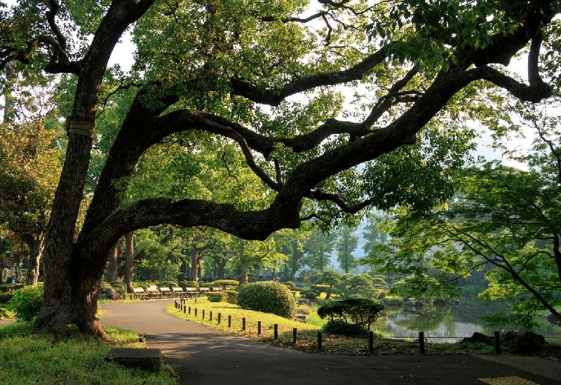 日比谷公園