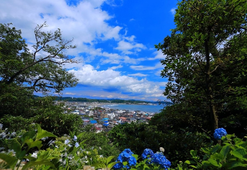 長谷寺（鎌倉）