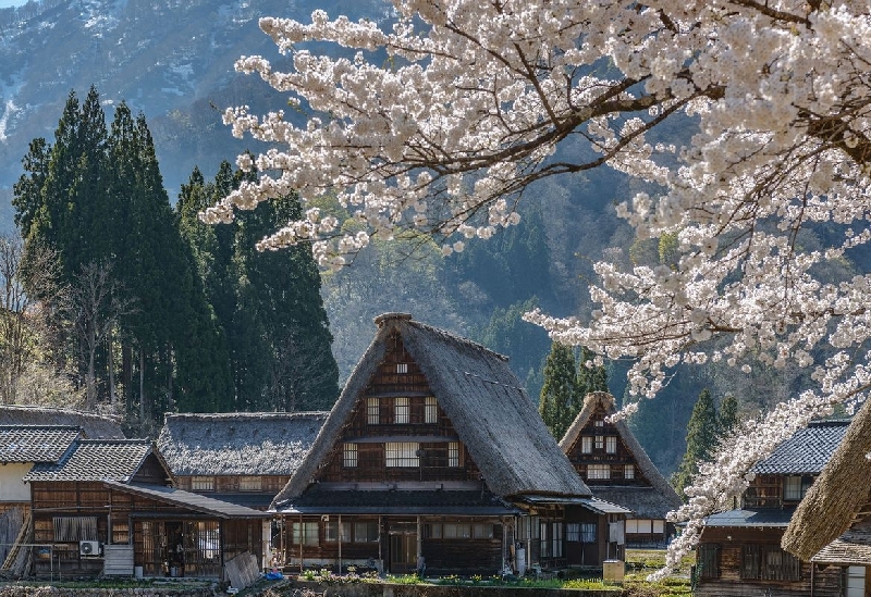 菅沼合掌造り集落（伝統的建造物群保存地区）