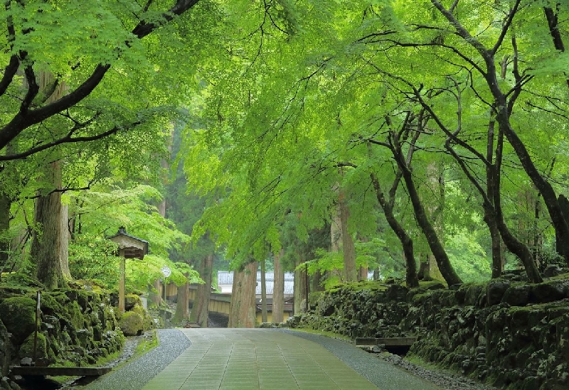 永平寺