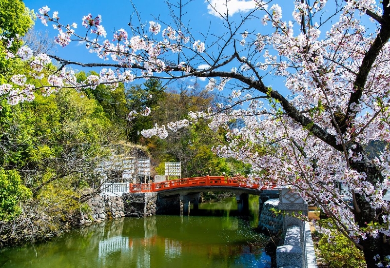 武田神社（躑躅ヶ崎館）