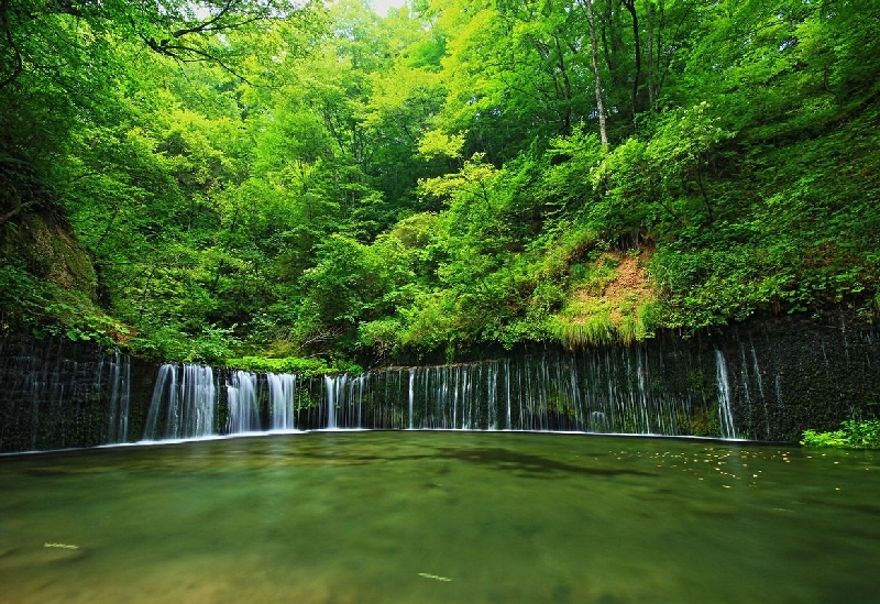 白糸の滝