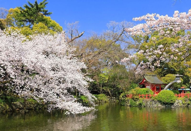 三嶋大社