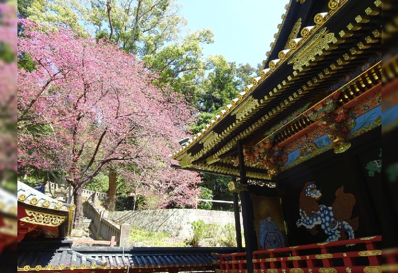 久能山東照宮