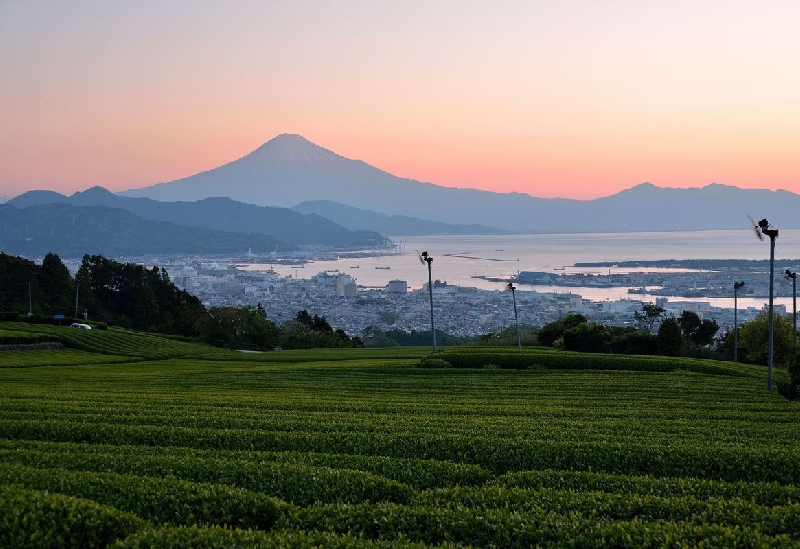 日本平