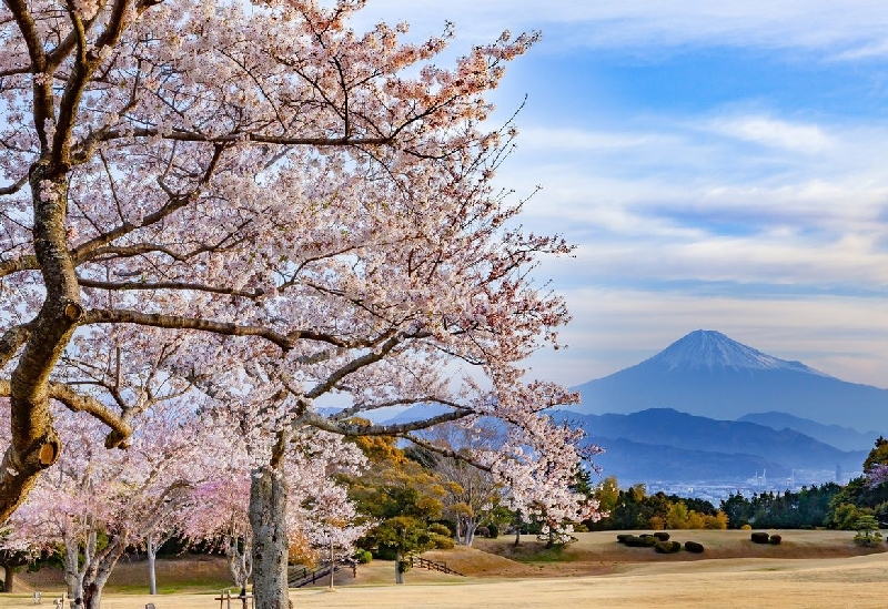 日本平