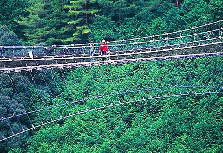 谷瀬の吊り橋