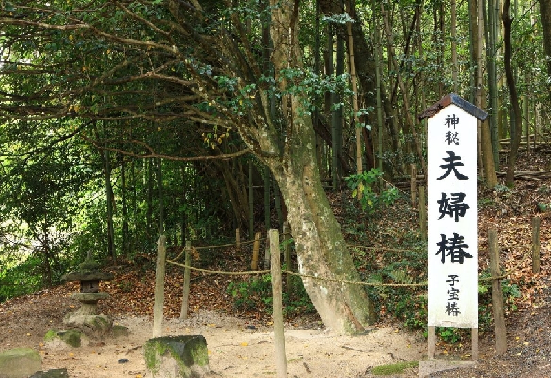 八重垣神社