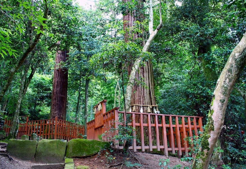 八重垣神社