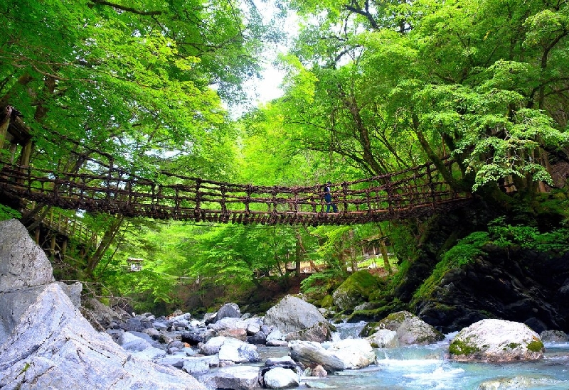 奥祖谷二重かずら橋