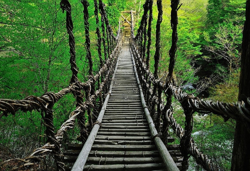 奥祖谷二重かずら橋