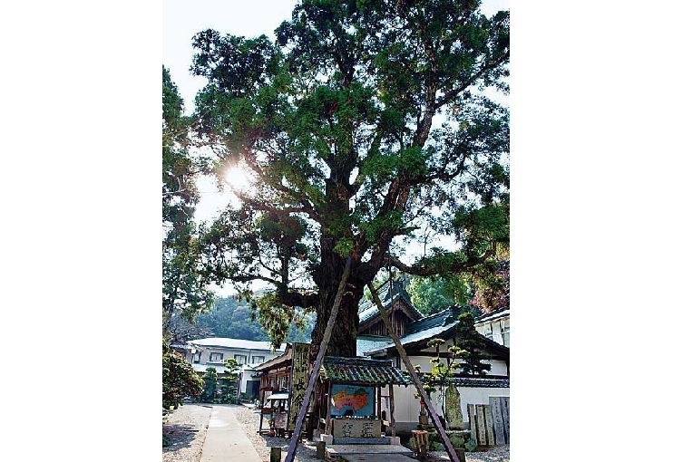 極楽寺