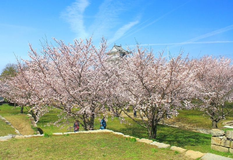 丸亀城