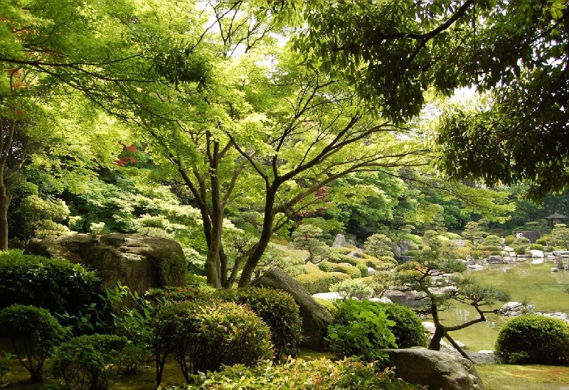 福岡・博多・天神・宗像・太宰府