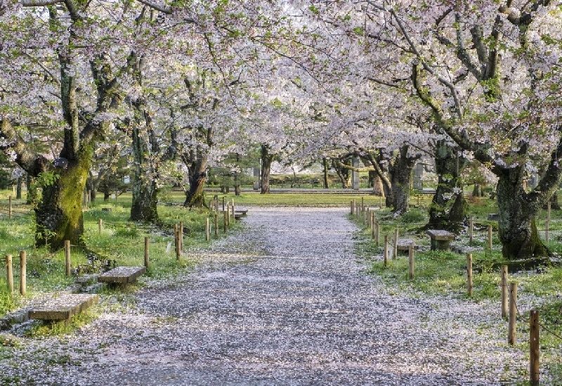 大濠公園