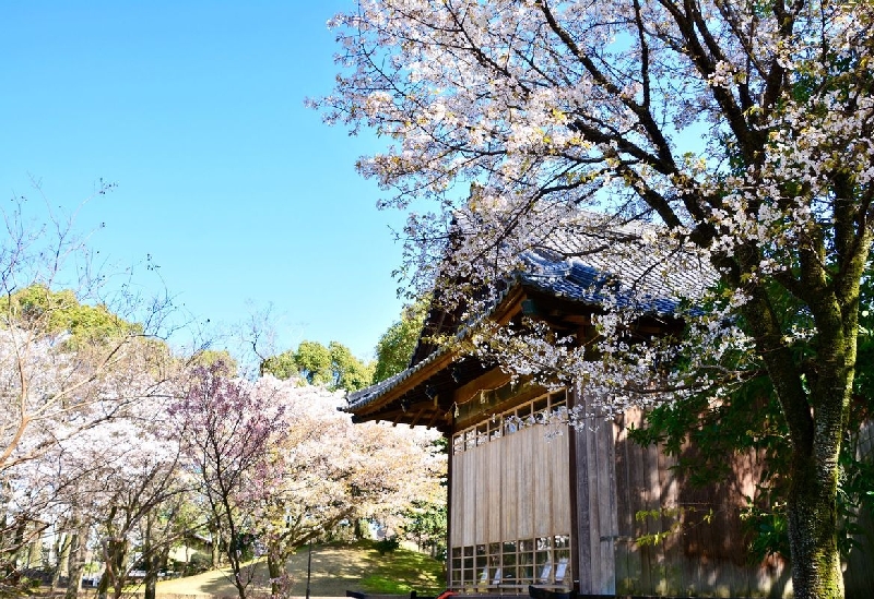 水前寺成趣園