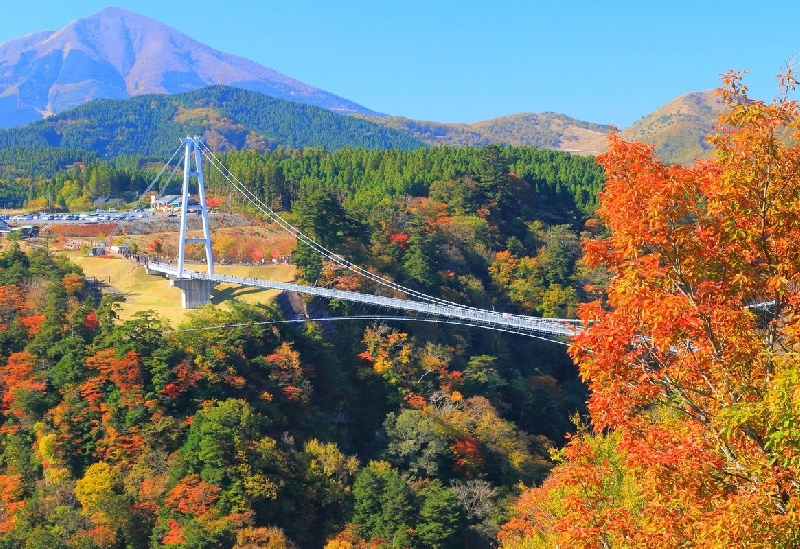 九重“夢”大吊橋