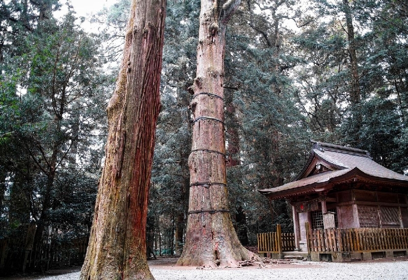 高千穂神社