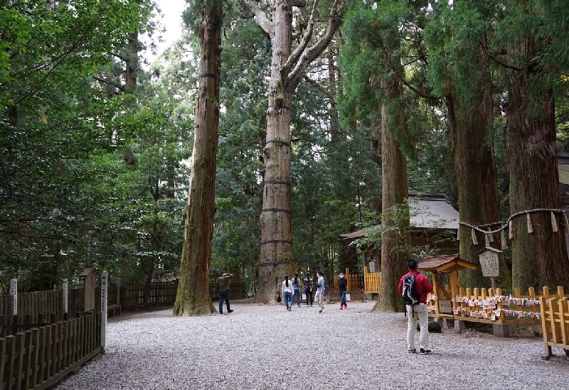 高千穂神社