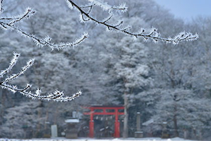 冬の画像2