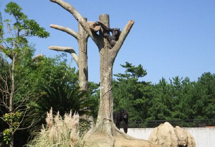 宮崎市フェニックス自然動物園