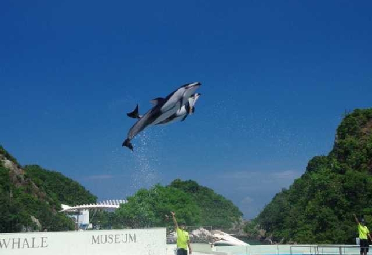 太地町立くじらの博物館