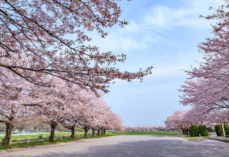 大宮公園