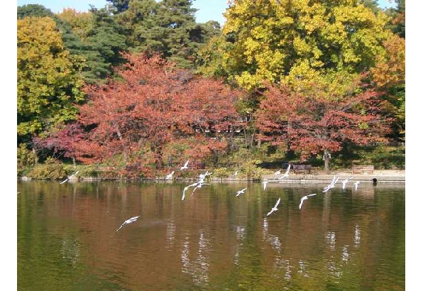 大宮公園