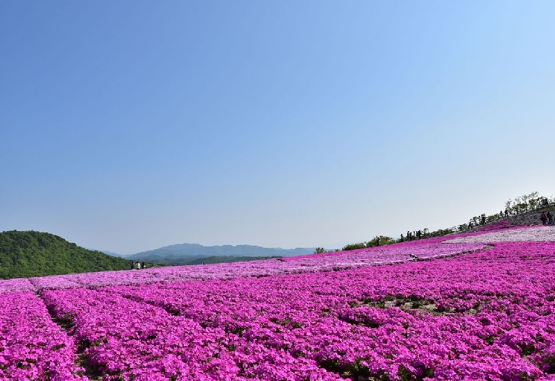 茶臼山高原