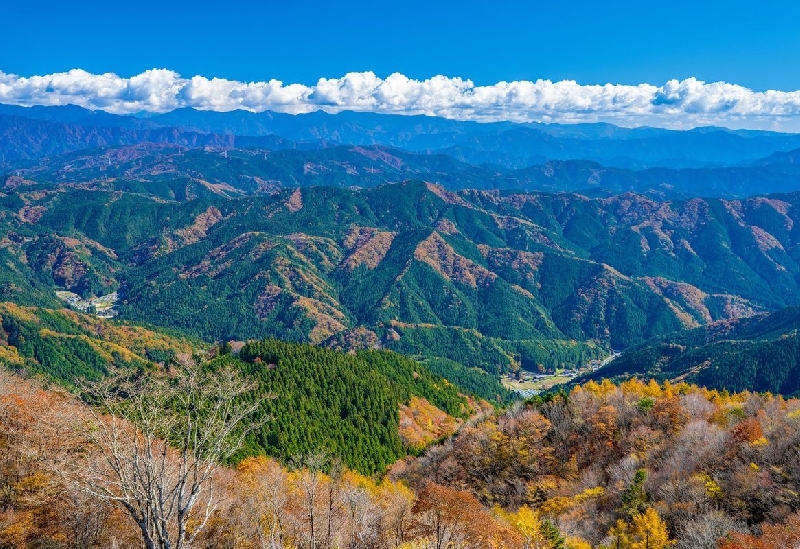 茶臼山高原