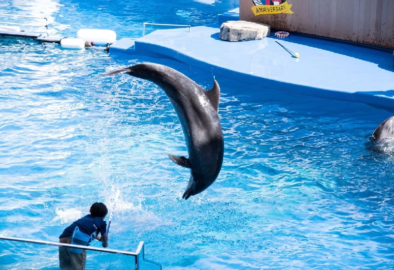 仙台うみの杜水族館