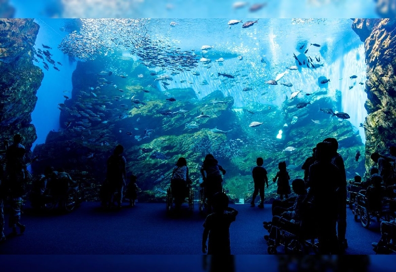 仙台うみの杜水族館