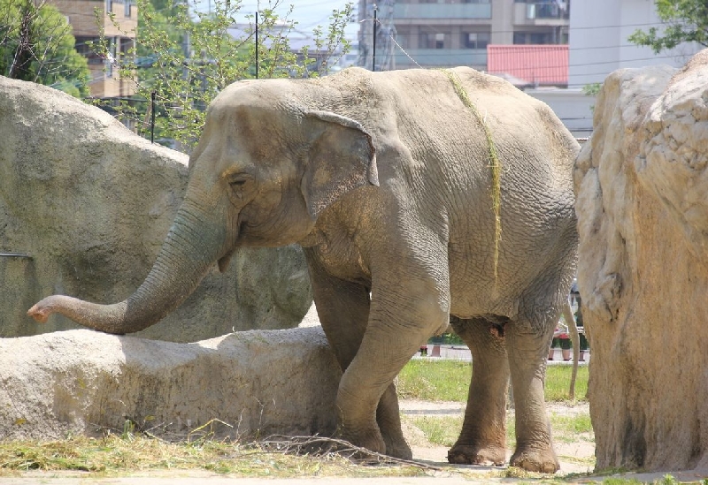 福岡市動植物園