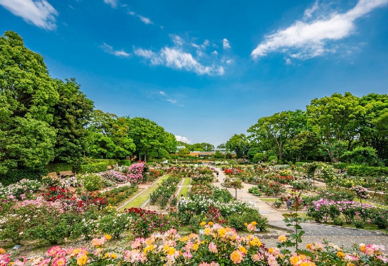 福岡市動植物園