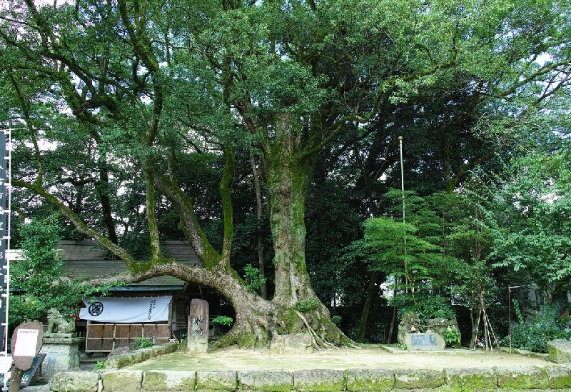 青井阿蘇神社