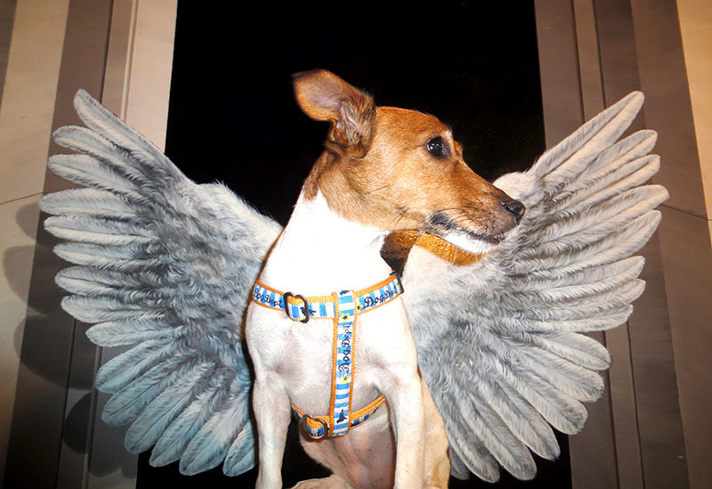 那須とりっくあーとぴあ