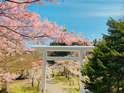 土津神社-こどもと出世の神さま-