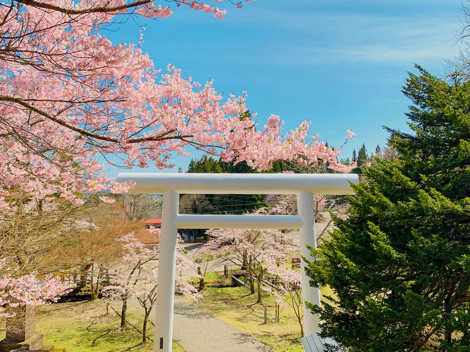 土津神社-こどもと出世の神さま-