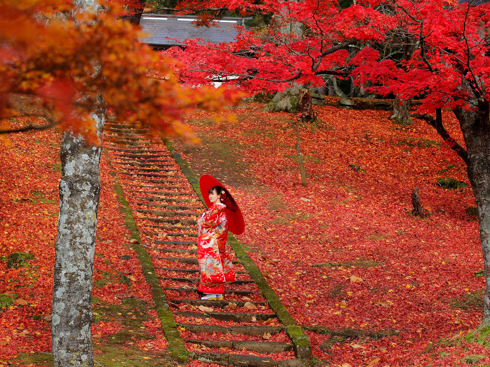 土津神社-こどもと出世の神さま-