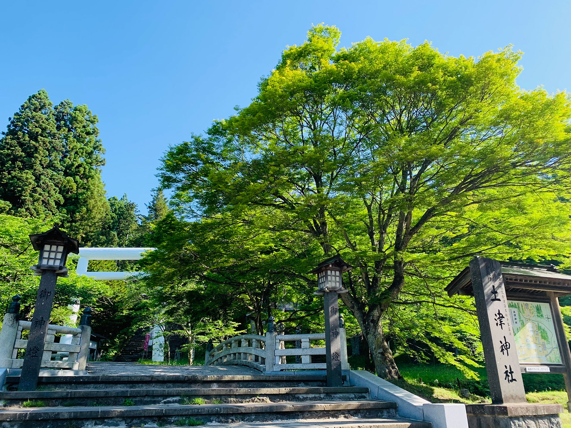 土津神社-こどもと出世の神さま-