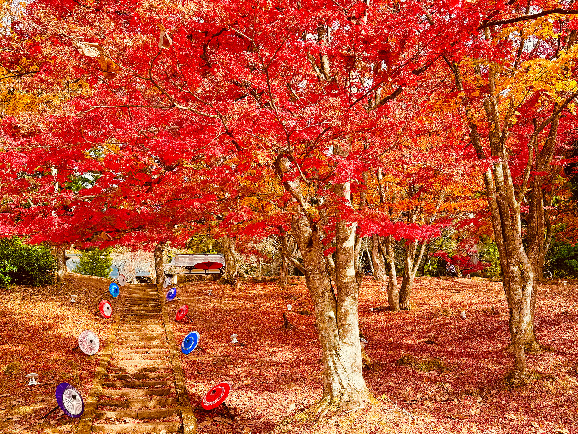 土津神社-こどもと出世の神さま-