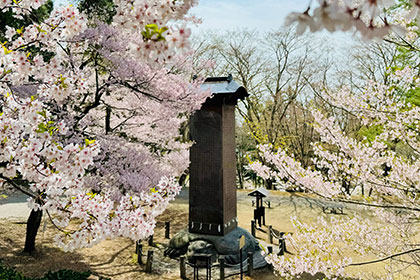 春の画像2