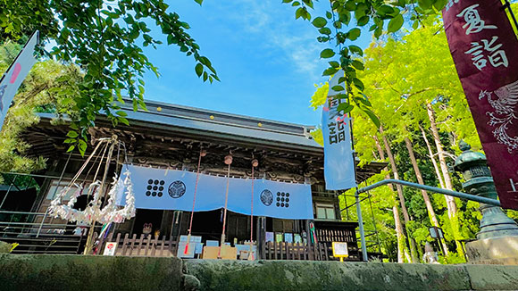 夏の画像1