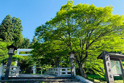 夏の画像2