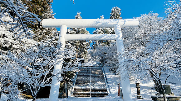 冬の画像1